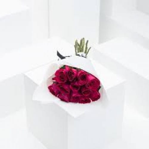 Splendid Fuchsia | White Wrap Add To Cart Splendid Fuchsia | White Wrap Add To Cart